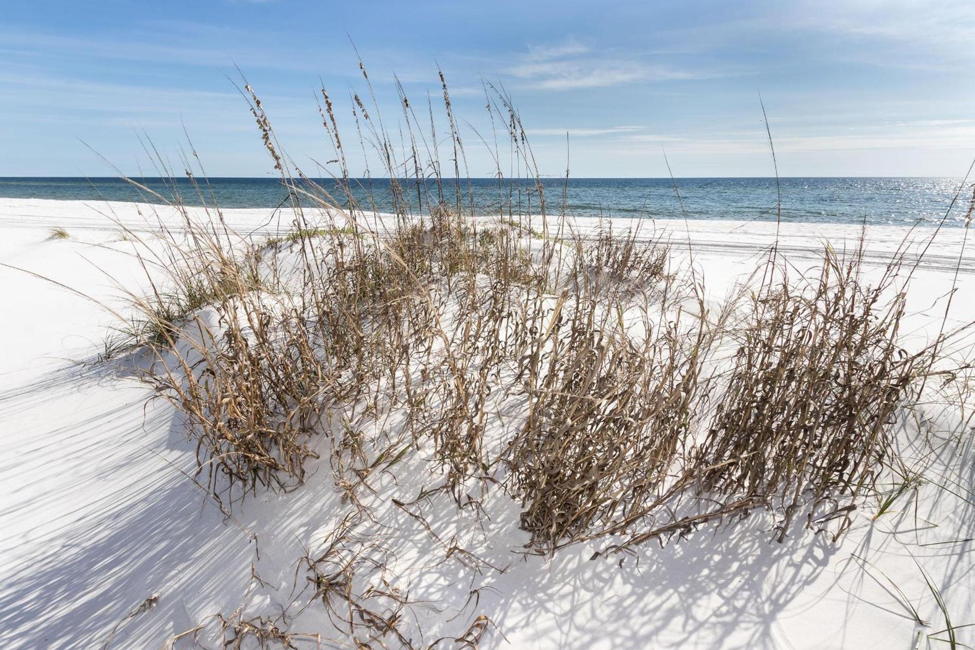 Nautilus 1201 - Gulf Front 2 Bedroom Huge Wrap Around Balcony 2Nd Floor! Fort Walton Beach Luaran gambar