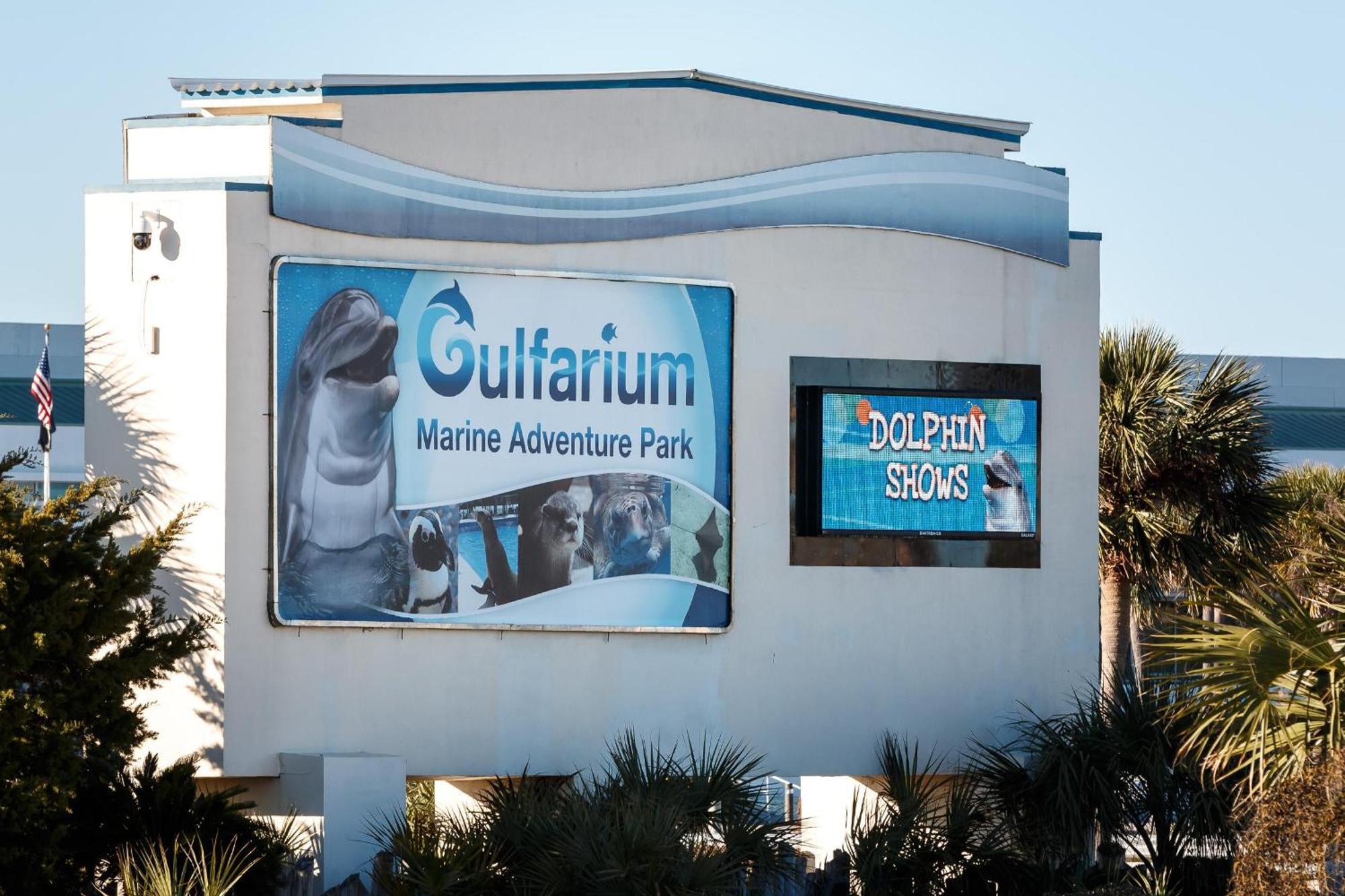 Nautilus 1201 - Gulf Front 2 Bedroom Huge Wrap Around Balcony 2Nd Floor! Fort Walton Beach Luaran gambar